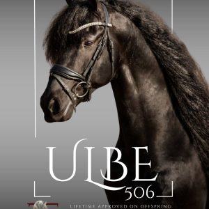 2026 STALLION BREEDING - Ulbe 506
